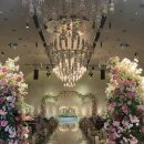 wedding [포항 피브pivv / 홍실주단 / 안다미로 / ua컨벤션 계약]