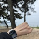 솔모루펜션 - 34777 | 솔모루펜션