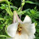 청산한옥계곡펜션 이미지