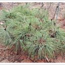 명관농장 이미지