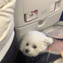 남원읍-85 | 💛나봄이💚의 태교일기👼🏻 네번째 22w 제주도 태교여행✈️