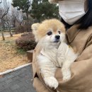 이층커피 이미지