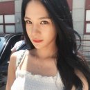노시현 카카오 검색결과