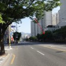 덕진-23 이미지