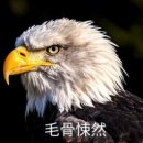 모계골 네이버블로그