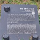 용월리지석묘군 | 내 인생의 큰 걸음을 위해 한 박자 쉬어가는 함평여행 4일차3
