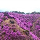 지수네민박 이미지