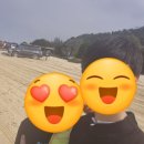 호주 브리즈번 당일치기 근교 여행 일일투어 추천 : 모튼섬 투어 탕갈루마 난파선 스노클링, 투명 카약...