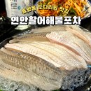도다리 | 동양동 맛집 연안활어해물포차 길게 썬 도다리회 후기