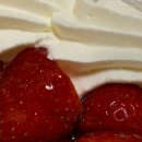 트라이플 이미지