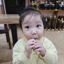새신둔복돼지