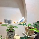 곡천길 | 기장 애견동반 브런치 | 칼리빌라 음식까지 맛있었던 내돈내산