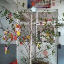 의성 단밀중학교의 생각나무 이미지