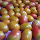 율리농장 이미지