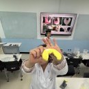 뽀감
