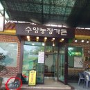 상춘농장 | 경기 광주 곤지암 흑염소 맛집 수양 농장 가든