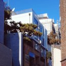 원두댕댕이 | 이태원동 디 진테제 카페┃예멘 원두 아메리카노 내돈내산 후기