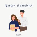 하루두피 판교점 이미지