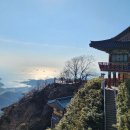 순천-74호 이미지