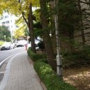 서광아울렛 이미지