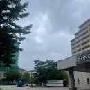 쉼과건강 | <교육 후기> 나를 위한 마음건강 레시피: 쉼과 회복을 위한 정신건강 특강- 한국SW테스팅협회