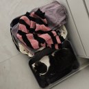 스테이 세인트21캠프 | 다시 만난 강릉 호캉스(26.1.26~26.1.27) - 세인트존스 호텔 수영장, 중앙시장 주차