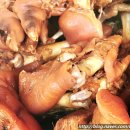 황금장충동한방족발 이미지