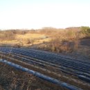 전용농장 이미지