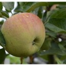 풍경이 머무는 곳 이미지