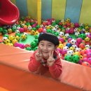 꿈자람랜드 이미지