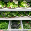 우렁이쌈밥집 이미지