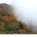 통천문