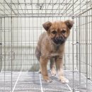 하이스트 독트레이닝센터 이미지