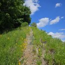 장군봉 근린공원 화장실 이미지