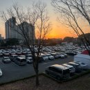 체육로 | 논산 딸기 축제 2026 저녁 방문 후기 가까운 주차장