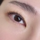 일직동 속눈썹펌 광명 속눈썹펌 잘하는 에르모사 후기❤️
