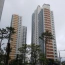 수영-303 이미지