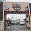 광역코스 | 충남광역투어 홍성 글로벌 바비큐 페스티벌 후기