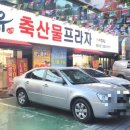 대유축산물프라자 - 달서구 평리로 62 | 대유축산물프라자
