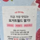 요하정 이미지