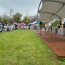 도란유치원 이미지