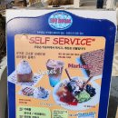 강화도 오션뷰 카페 추천! 카페109하우스 방문 후기