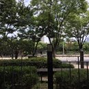 본도시락(월평선사점) 네이버블로그