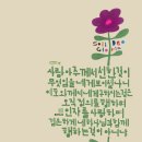주 미가 이미지