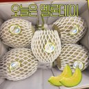옥련청과