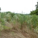 부곡리마을회관 이미지