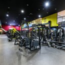 핏-타운 이미지