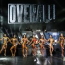 뷰티몬스터짐 이미지