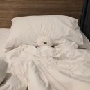 루프탑&오락실 이미지