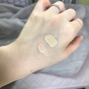결국 더블웨어에 도전한다 (더블웨어 웜포슬린 / 본 / 나스 래디언트 고비)